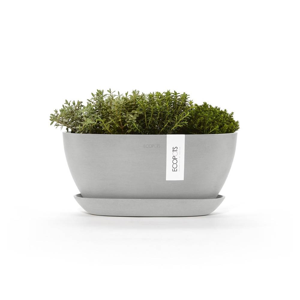Ecopots - Pot Ovale Sofia 30 + Soucoupe - 30 x 13 x H. 13,9 cm - 2,7 L ECOPOTS - Image 2