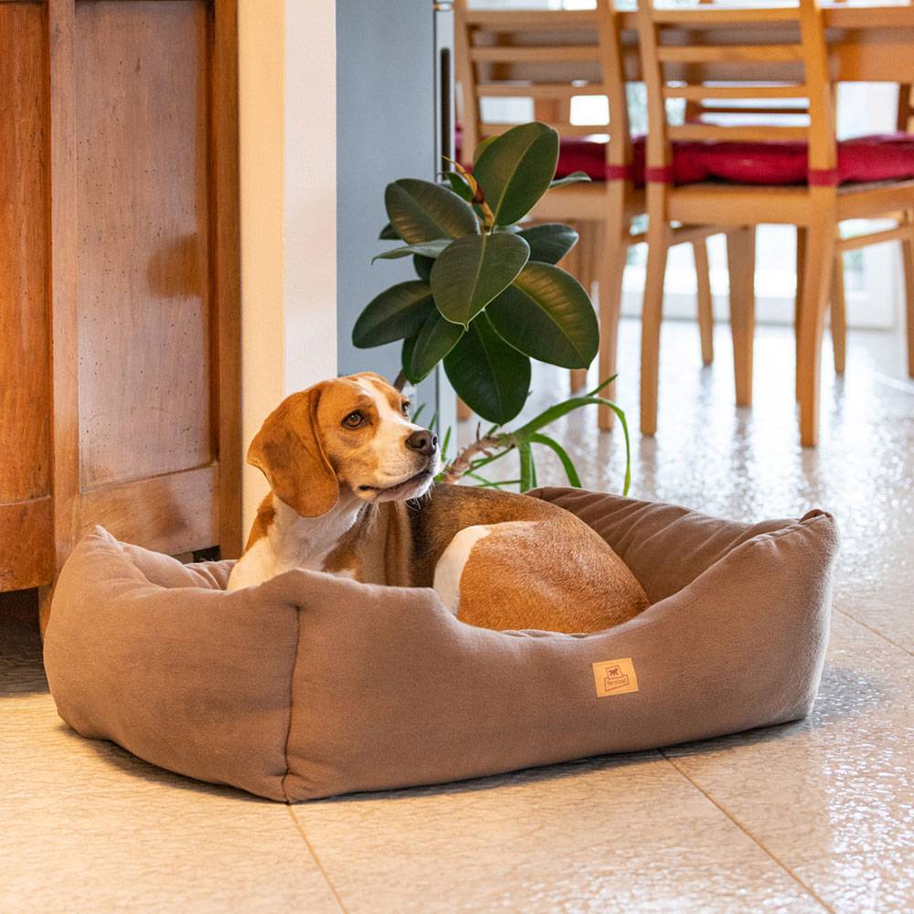 Ferplast - Canapé Lit pour Chiens et Chats COCCOLO MICROFLEECE 80 Soft Micropolaire Lavable Taupe - Image 3