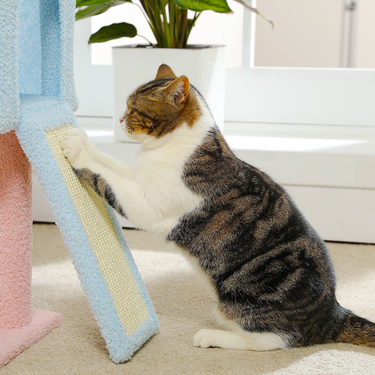 Arbre à Chat Fleur en Sisal 120 cm Bleu PAWZ Road - Image 4