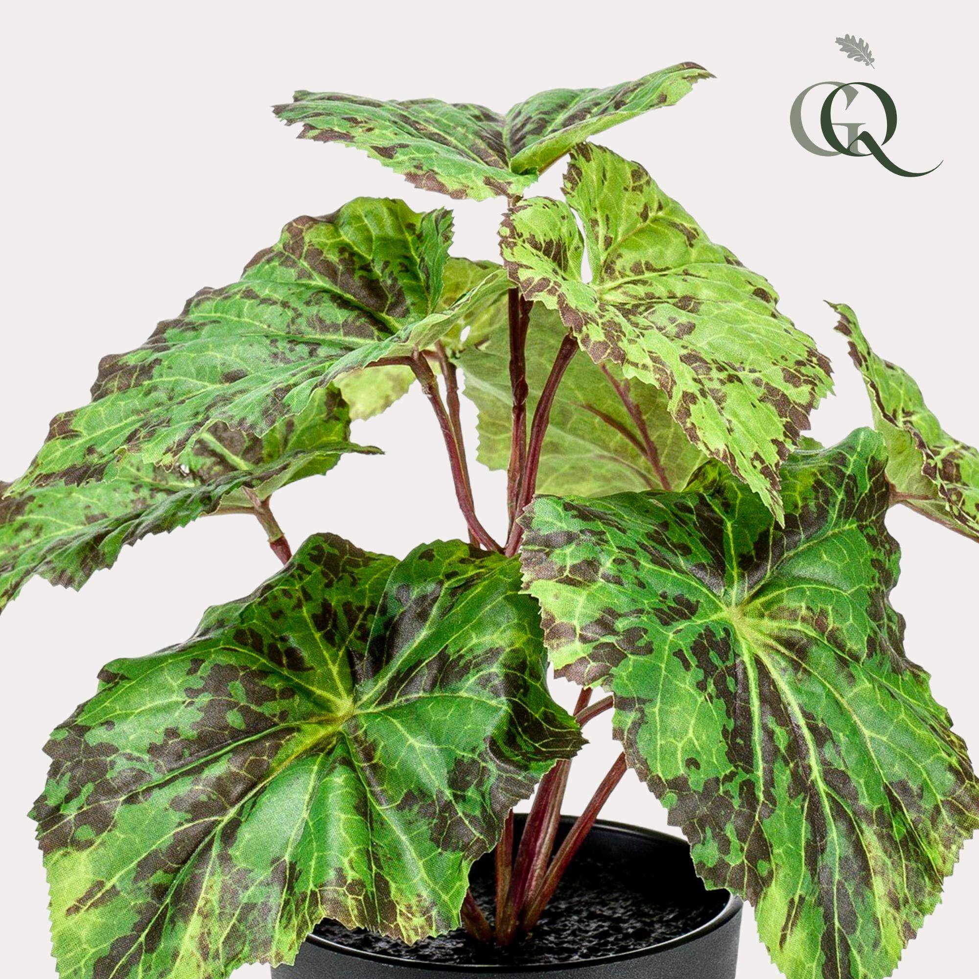 La Green Touch - Begonia Rex plante artificielle - h25cm, Ø11cm- La Green Touch - Image 2