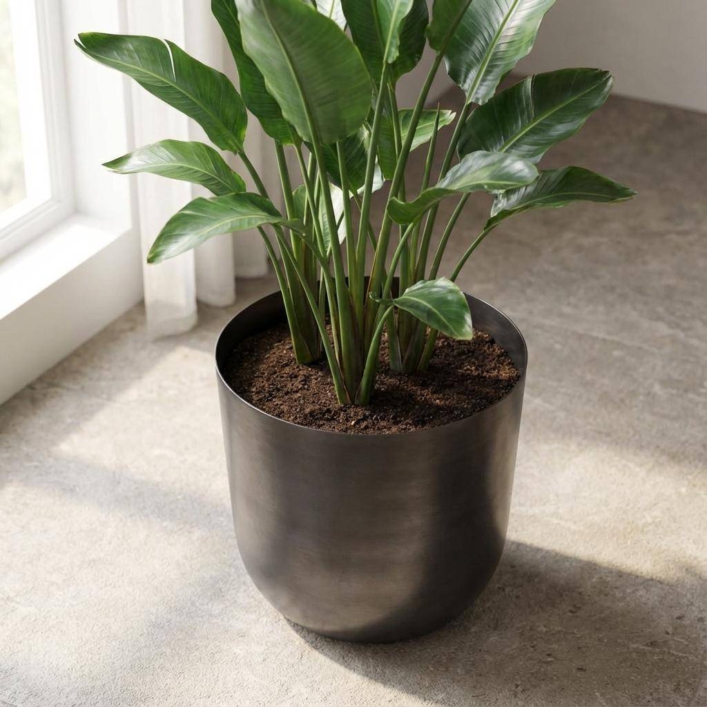 PANGIVO - Pot de fleurs métal gris 20 x 20 x 20 cm - PANGIVO - Image 5
