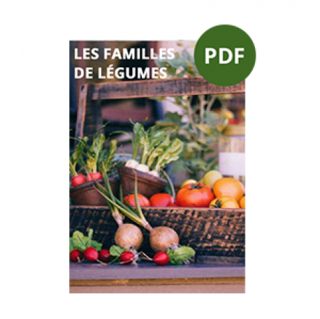 Livre "Organiser son potager" - Image 4