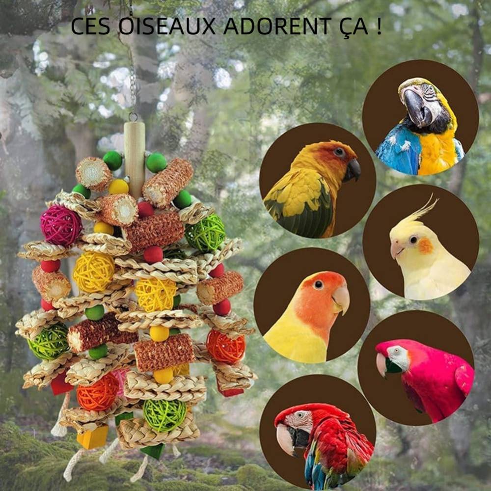 Jouet à mâcher pour perroquet - IntiMeg - Image 3