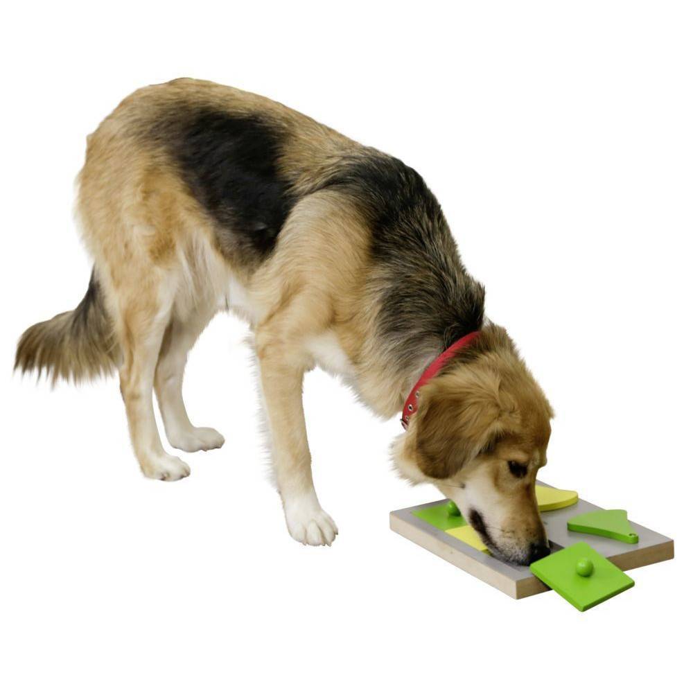 kerbl - Jeu de stratégie CAKE cache friandise 30 x 23 x 4.5 cm pour chien - Image 5