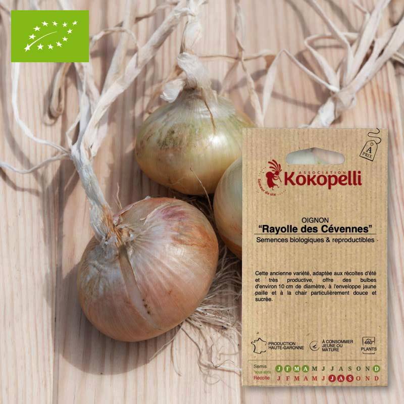 Graines bio à semer - Oignon Rayolle des Cévennes- Association Kokopelli