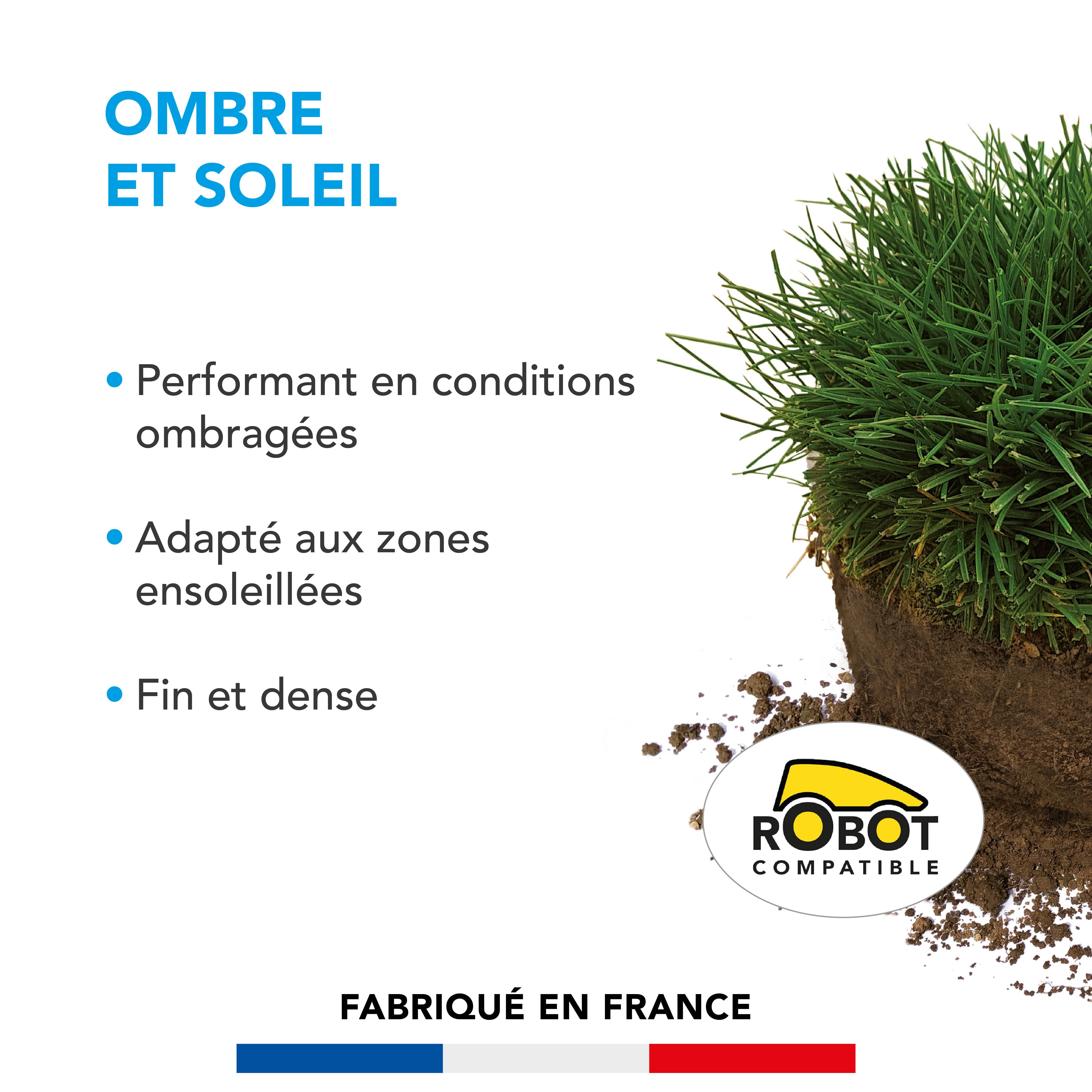 Barenbrug - Gazon Ombre et Soleil - Performant en Conditions Ombragées - Adapté aux Zones Ensoleillées - Fin et Dense - 3KG - BARENBRUG - Image 2