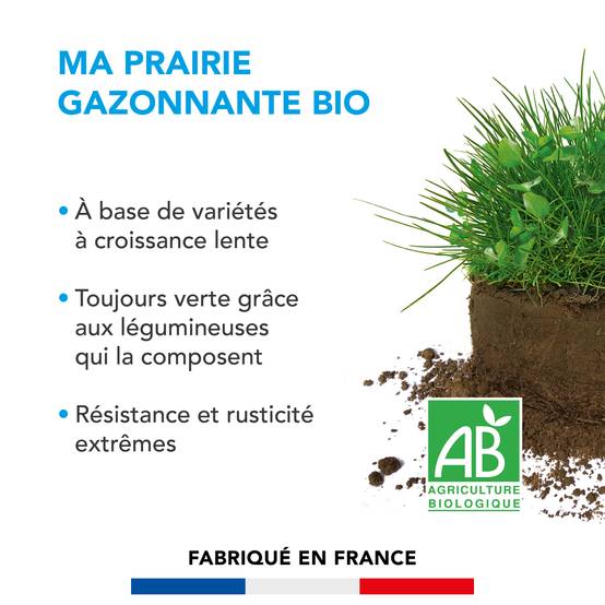 Prairie Gazonnante - Variétés à Croissance Lente - Toujours Verte grâce aux Légumineuses - Résistance et Rusticité Extrêmes - 3KG - BARENBRUG - Image 2