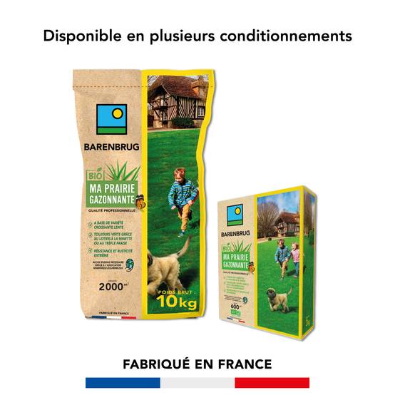 Prairie Gazonnante - Variétés à Croissance Lente - Toujours Verte grâce aux Légumineuses - Résistance et Rusticité Extrêmes - 3KG - BARENBRUG - Image 5