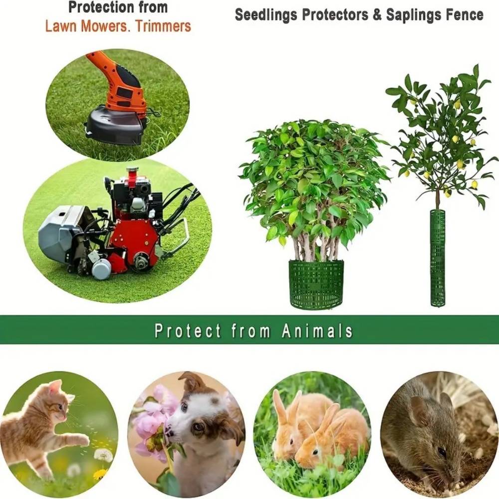 Lytech - Protège-Arbres pour Jeunes Plants 38x25 cm Vert - 2 Pièces - Protection Combinable contre Rongeurs et Intempéries - Lytech - Image 5