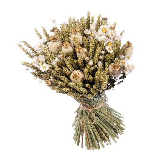 Naturalys - Naturalys - Kit à composer - Bouquet de fleurs séchées - Blanc - Image 2