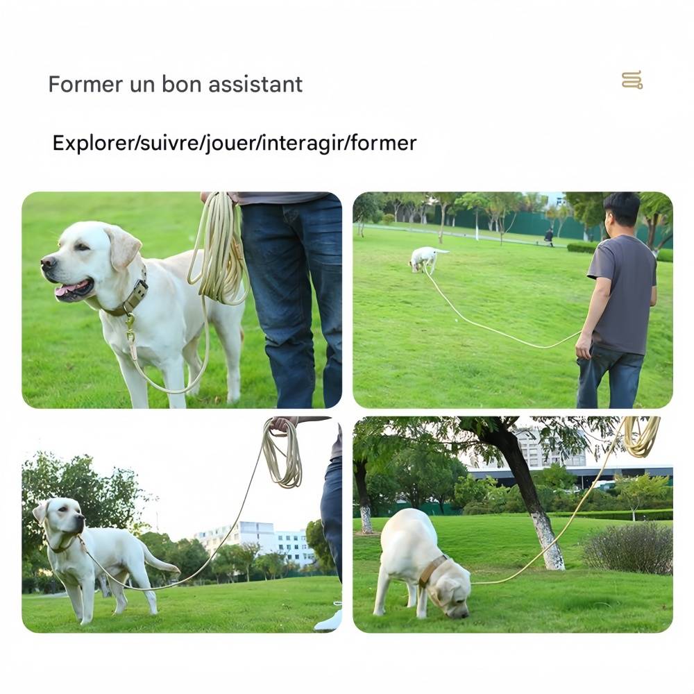 IntiMeg - Laisse allongée pour chien 20M IntiMeg - Image 5