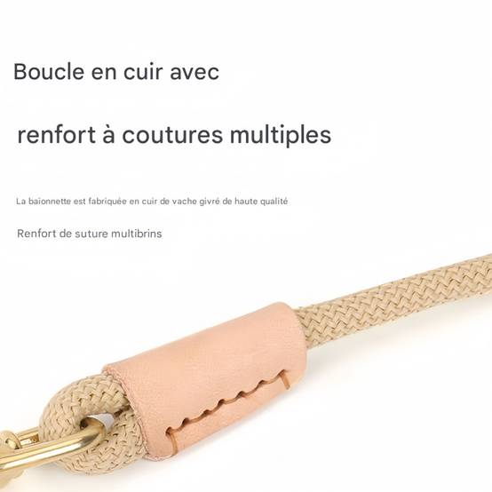 IntiMeg - Laisse allongée pour chien 20M IntiMeg - Image 4