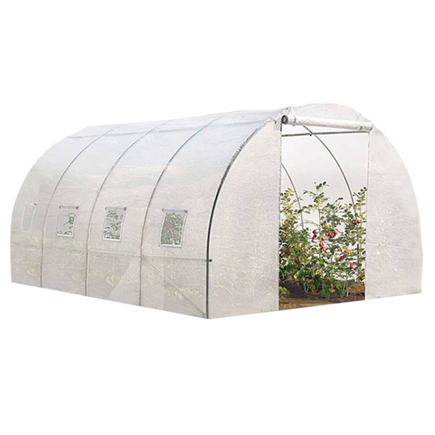 Serre tunnel de jardin 12M² blanche gamme maraîchère ZEBRA 4x3M - Image 2