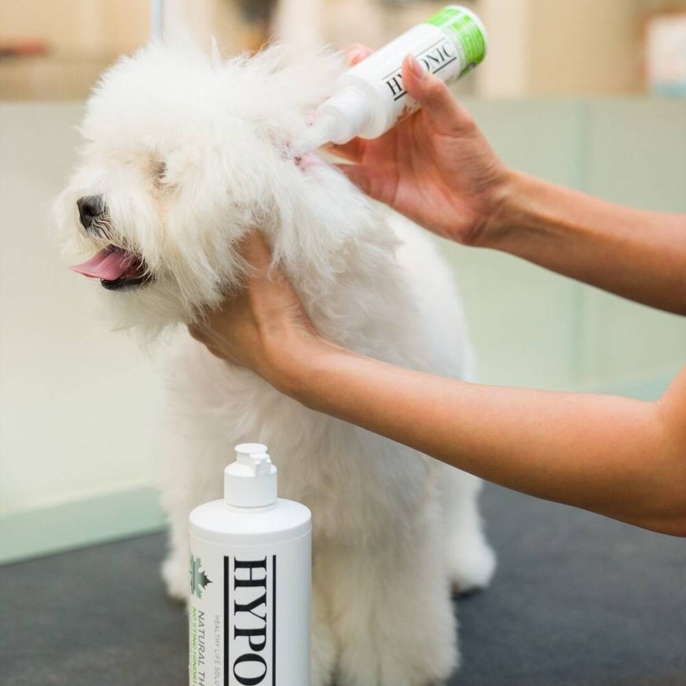 Nettoyant oreille naturel et hypoallergénique pour chien 120 ml HYPONIC - Image 4