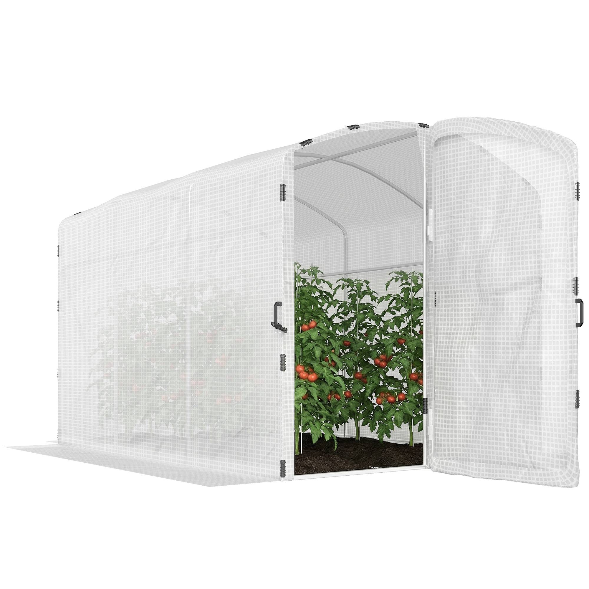 Sans Marque - Serre tunnel de jardin 6m², serre de jardin tunnel 300x200x195cm bâche PE 220g/m² bords prolongés 50 cm avec porte blanc - Image 1