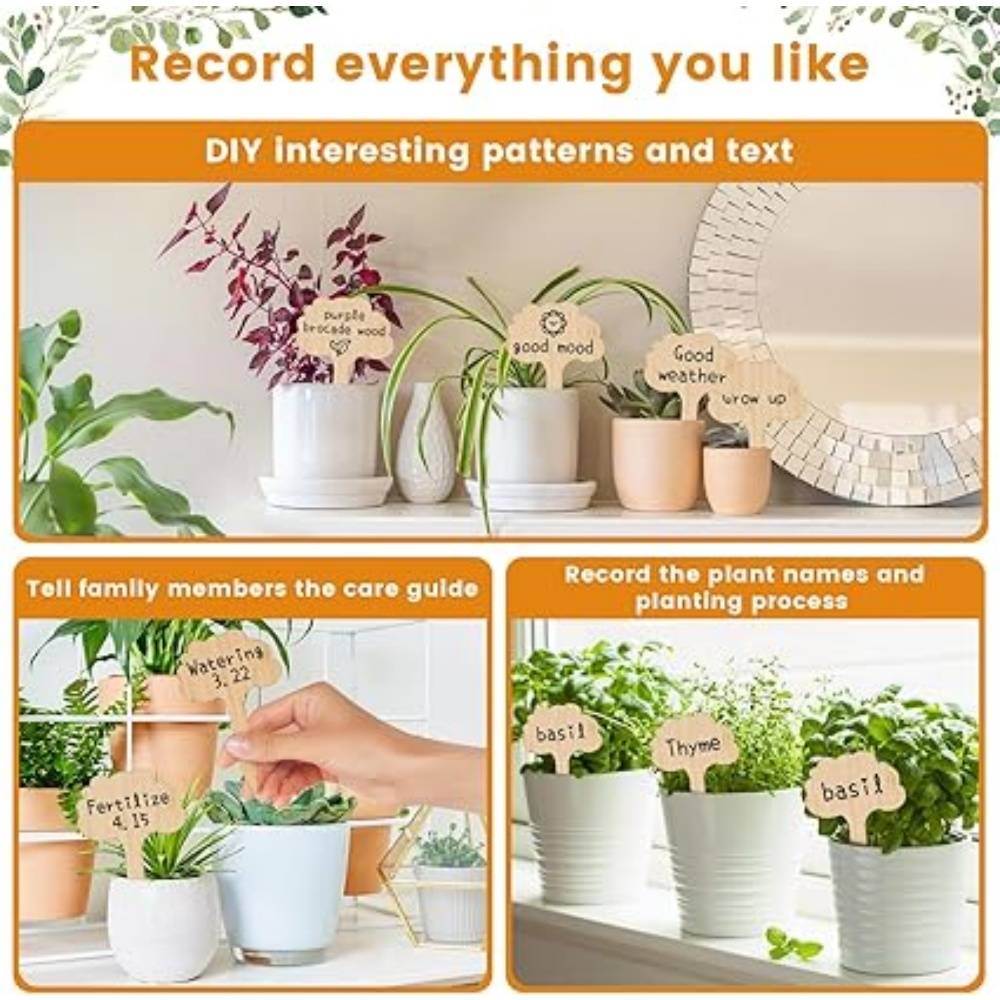 DtopbuyAge - 30 Pièces Étiquettes Jardin Extérieur Pour Plantes Fleurs Légumes DtopbuyAge - Image 4