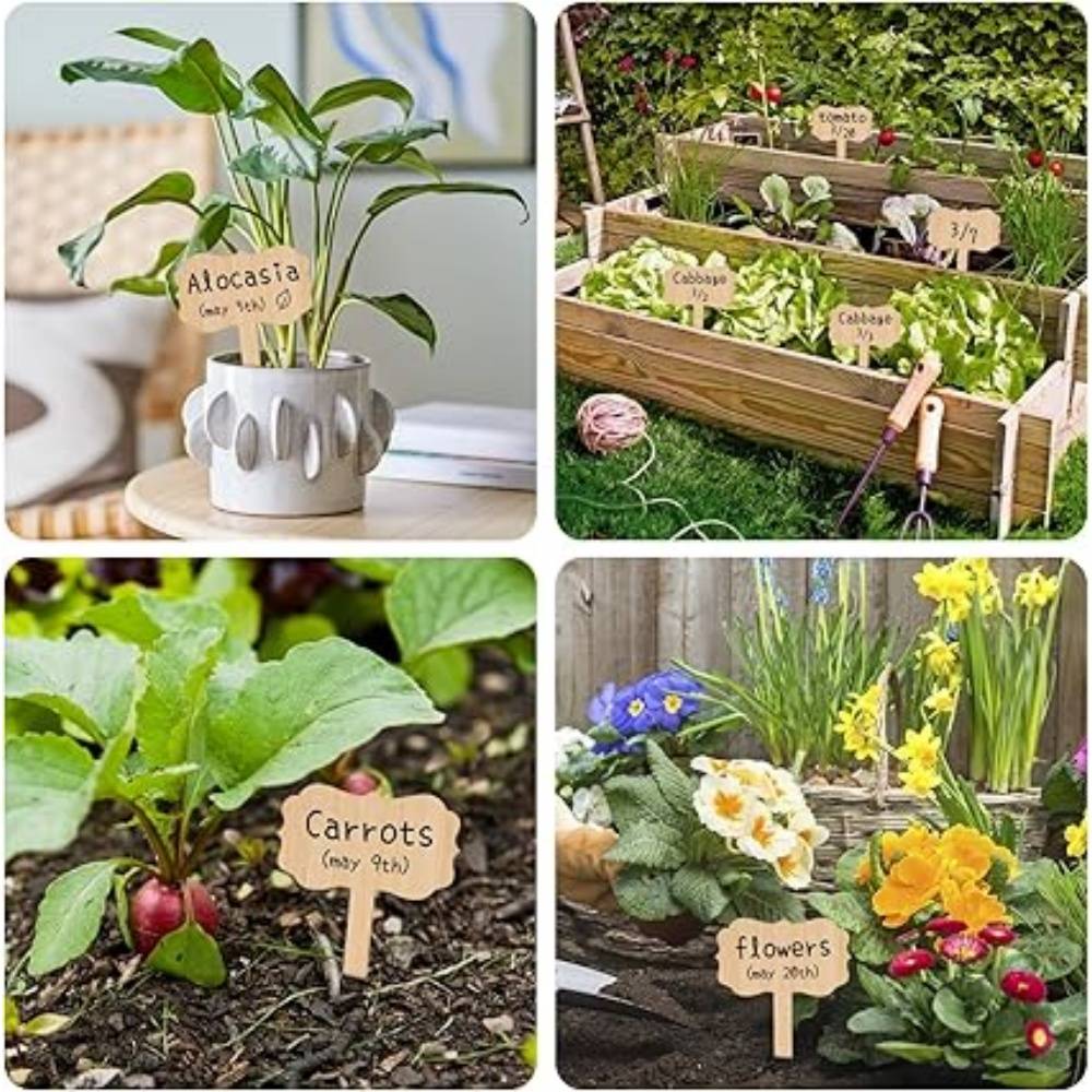 DtopbuyAge - 30 Pièces Étiquettes Jardin Extérieur Pour Plantes Fleurs Légumes DtopbuyAge - Image 5