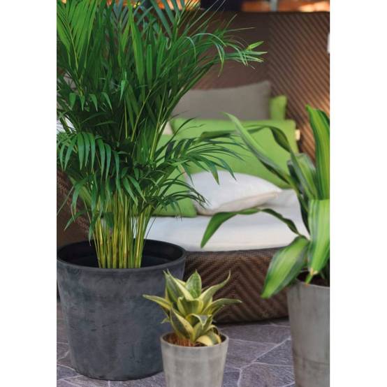 Pot de fleurs rond en plastique recyclé - Noir 40 cm - Novavita - Image 2