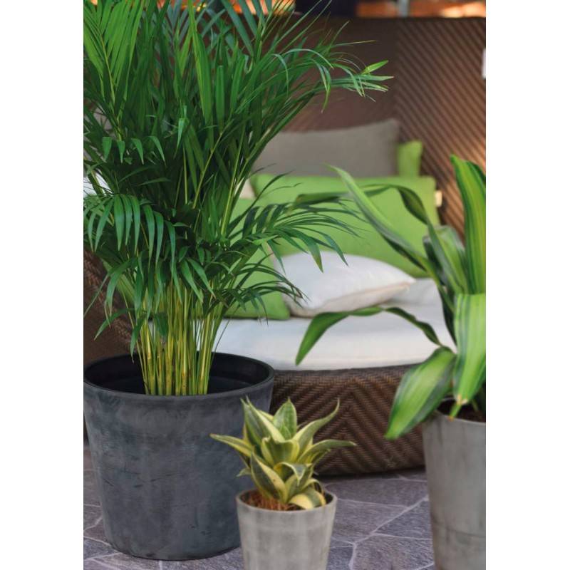 Pot de fleurs rond en plastique recyclé - Noir 40 cm - Novavita - Image 2