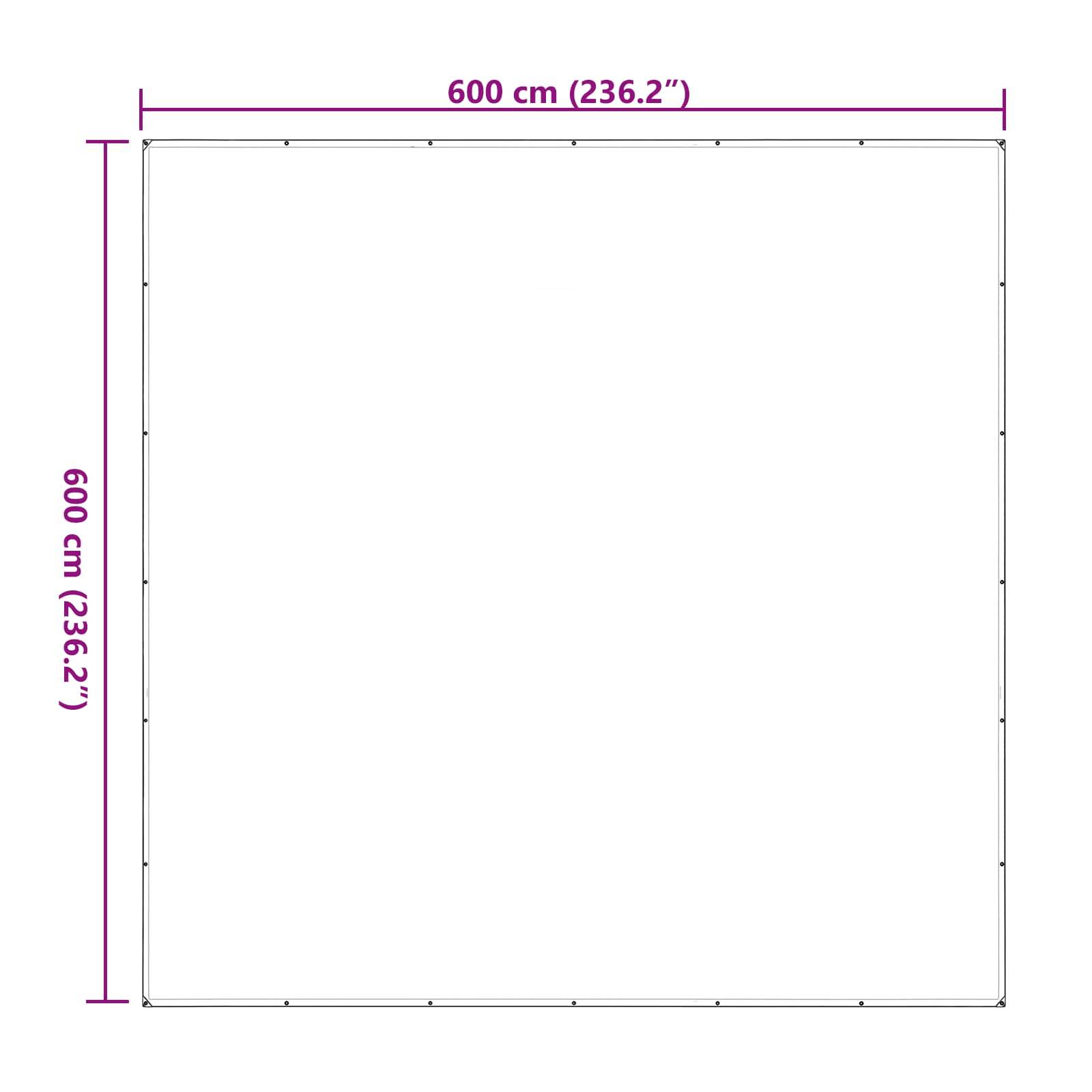 Vidaxl - Couverture pour plantes 6 x 6 m PE Transparent vidaXL 3429288 - Image 3