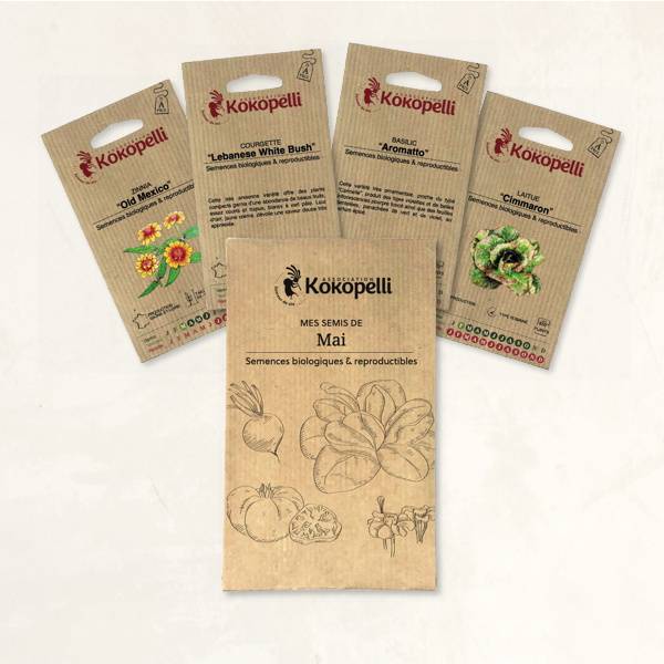 Mes semis de mai - 4 sachets de graines bio à semer- Association Kokopelli - Image 2