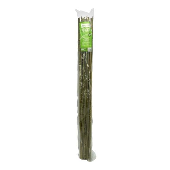 Tuteurs Bambou 90 cm - Pack de 25 pcs - Image 3