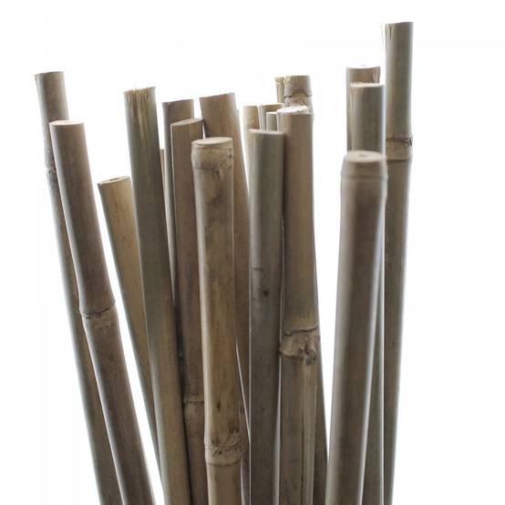 Tuteurs Bambou 90 cm - Pack de 25 pcs - Image 1