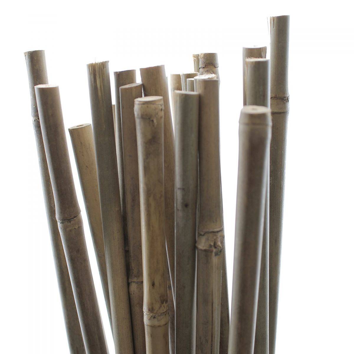 Tuteurs Bambou 90 cm - Pack de 25 pcs - Image 1