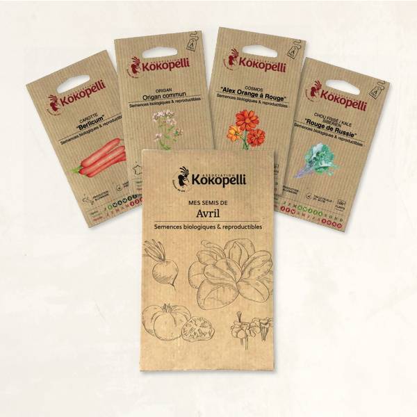 Mes semis d'avril - 4 sachets de graines bio à semer- Association Kokopelli - Image 2