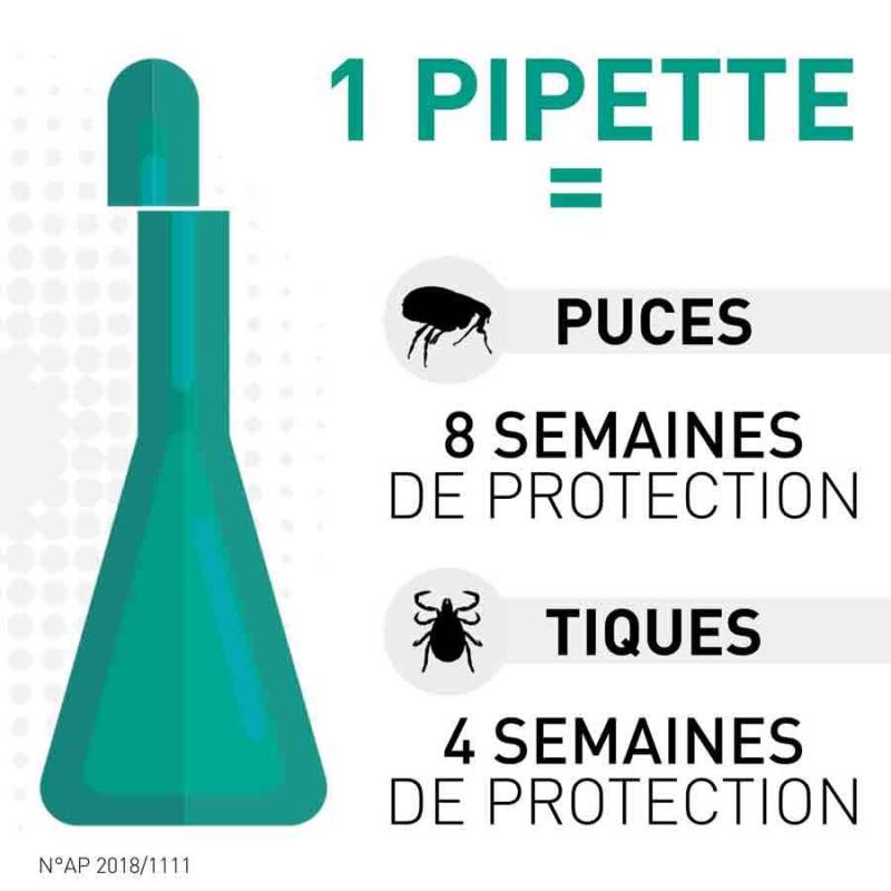 Frontline - FRONTLINE SPOT ON CHIEN S (2-10 kg) -  BOEHRINGER 6 pipettes - Image 3