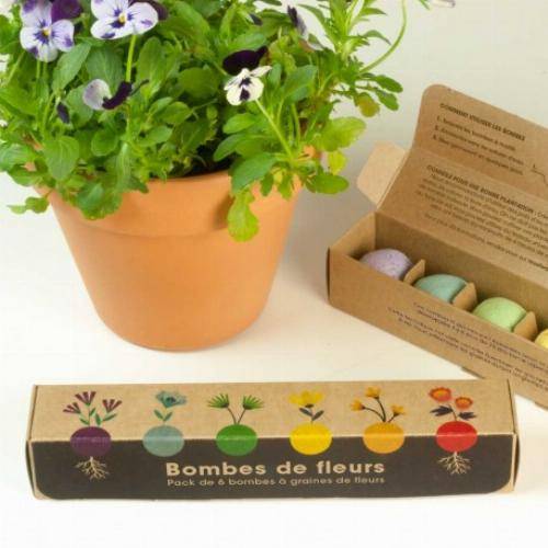 Pack de graines en bombe de 6 fleurs sauvages - Image 1