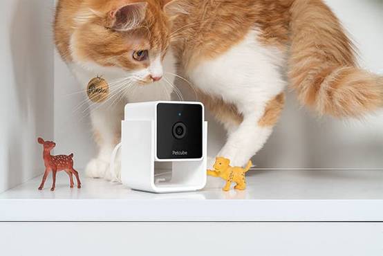 Petcube Pet Cam - Caméra pour animaux de compagnie - Image 3