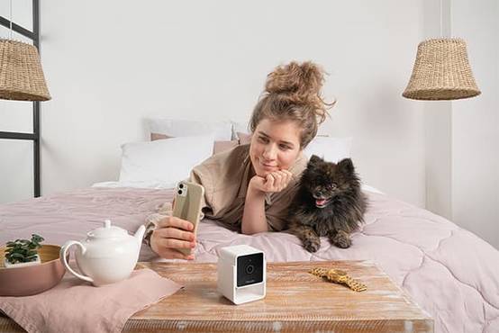 Petcube Pet Cam - Caméra pour animaux de compagnie - Image 5