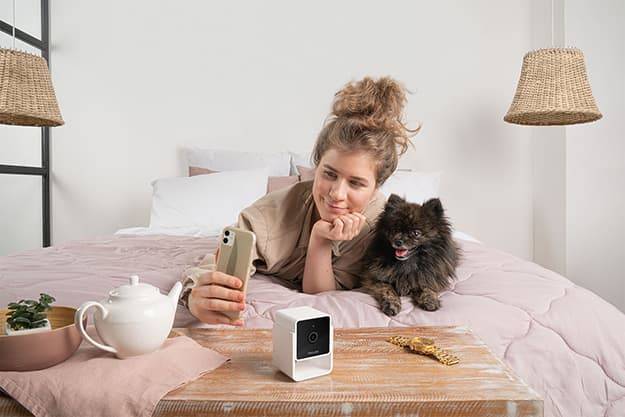 Petcube Pet Cam - Caméra pour animaux de compagnie - Image 5