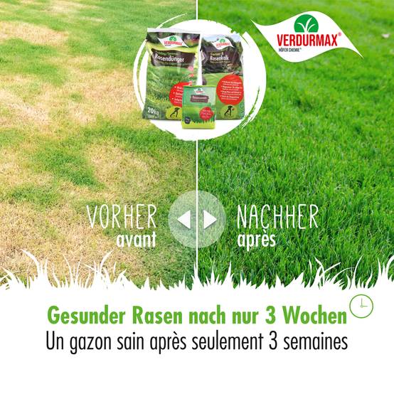 Kit de lancement printemps VERDURMAX® – pour entretenir 1000 m² de surface de gazon x 1 - Image 4