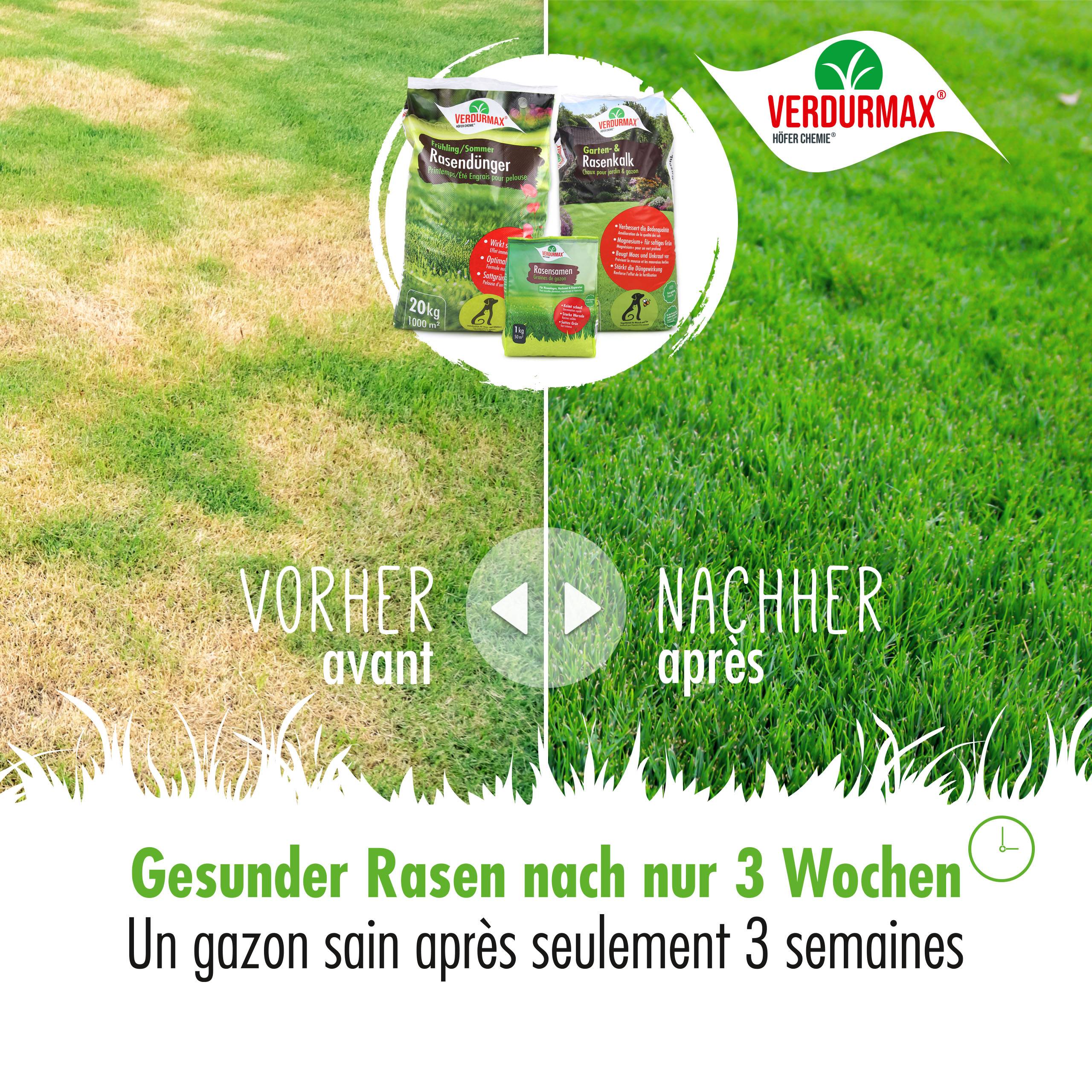Kit de lancement printemps VERDURMAX® – pour entretenir 1000 m² de surface de gazon x 1 - Image 4