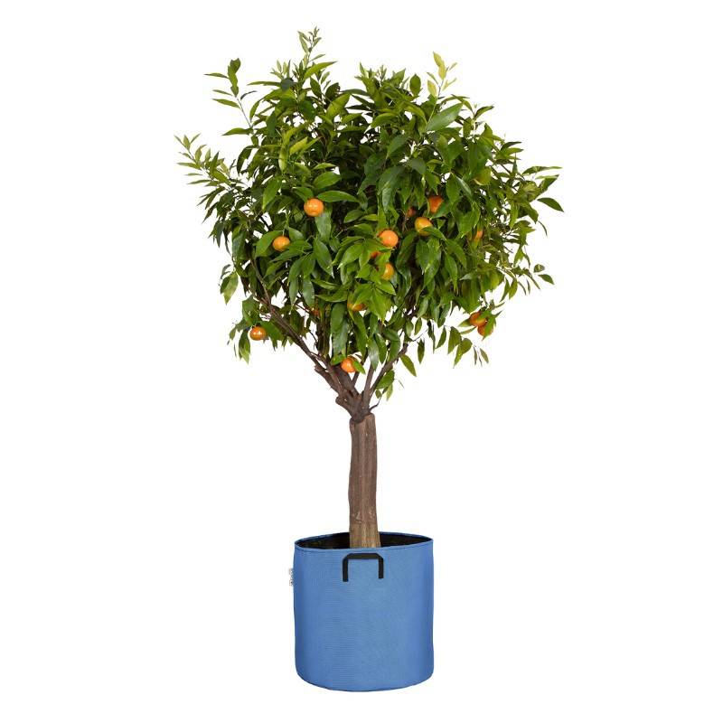 Bourgeon - Sac pour plantations respirant 40x40 cm Bleu - Bourgeon - Image 1