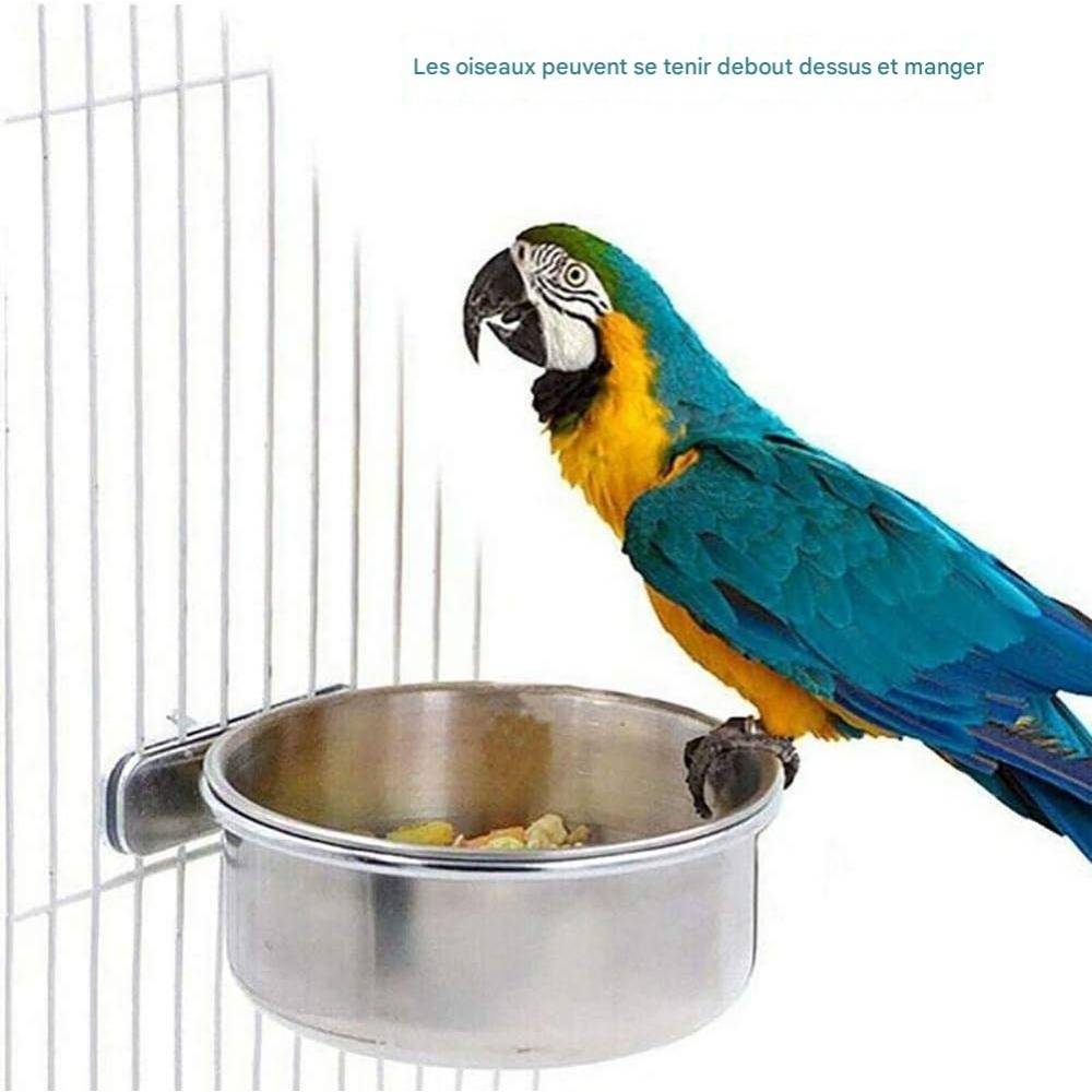 Nourrisseur pour oiseaux - Lytech - Image 3
