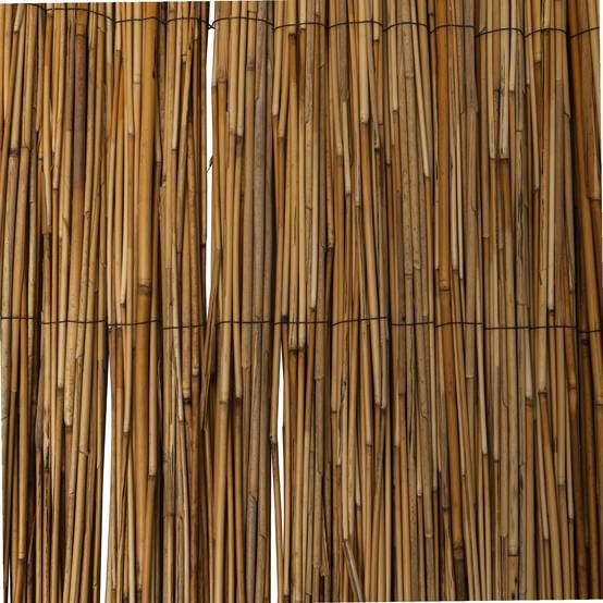 Canisse Ø 2,5mm roseau WERKA PRO - 1x3m - Image 6
