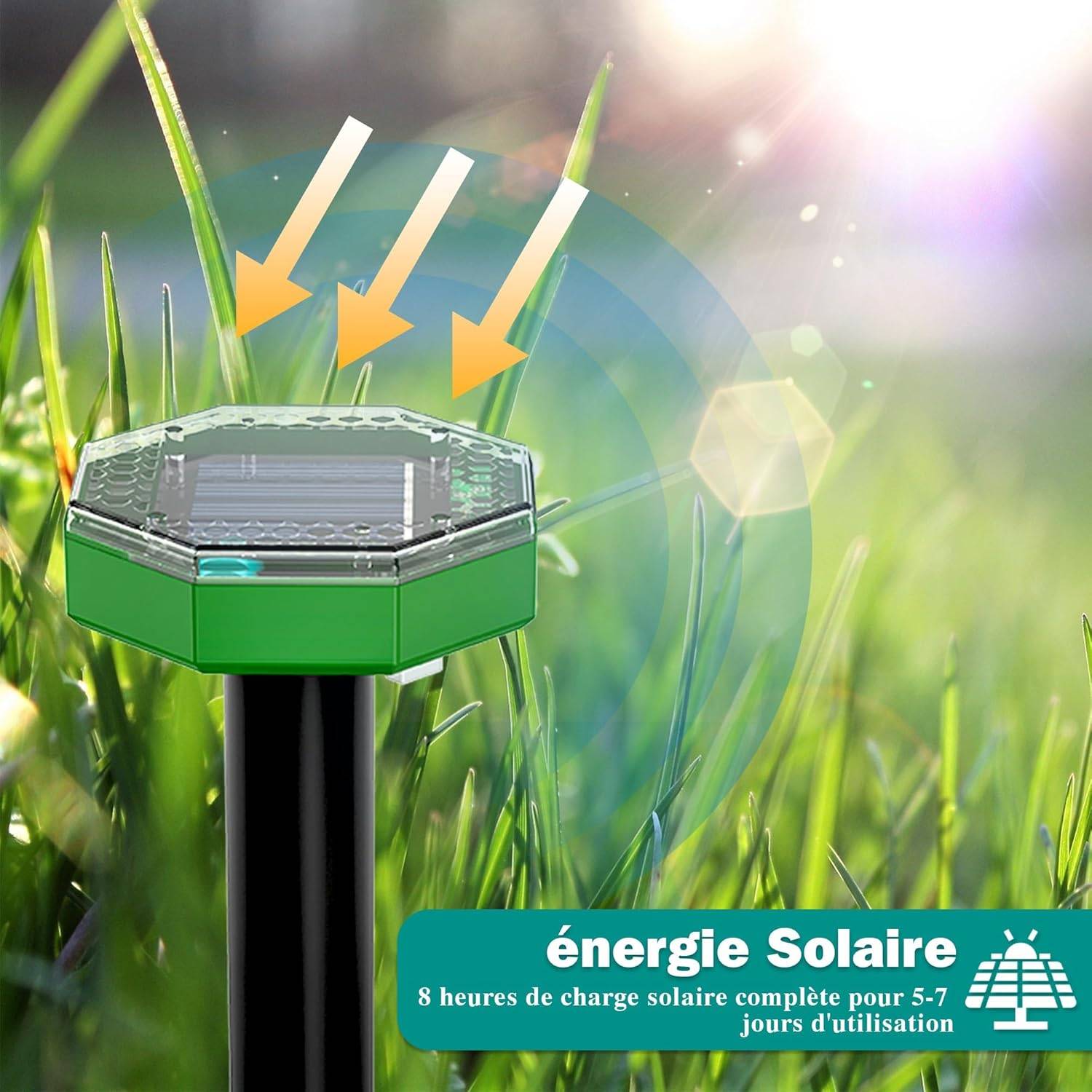 Répulsif Solaire Anti-Taupes 6 Pièces - Ultrasons 650 m² - Écologique - Living123 - Image 3