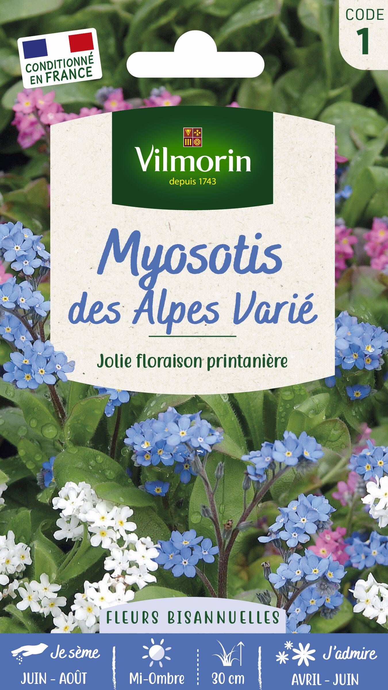 Vilmorin - Graines de Myosotis des Alpes varié