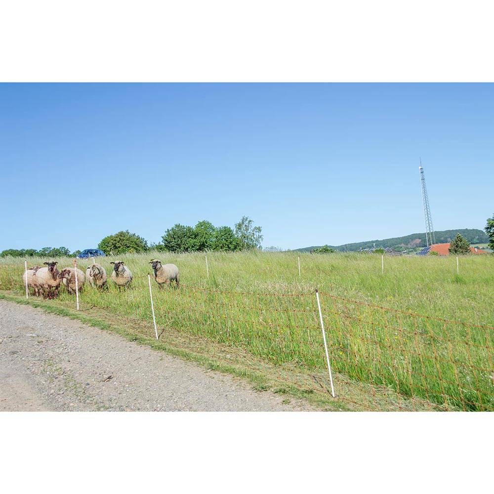 Filet Mouton Simple Pointe 0,90 x 50 m – Clôture électrifiable pour élevage – HORIZONT - Image 6