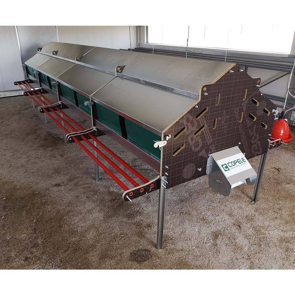 Copele - Pondoir collectif pour 360 poules - Image 3