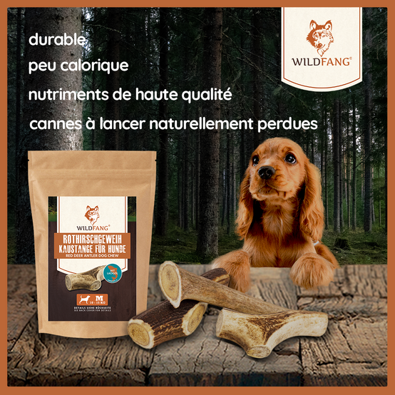 Wildfang - Pack chiot « Amour marin » - pour chiens de taille moyenne jusqu'à 25 kg - Image 7