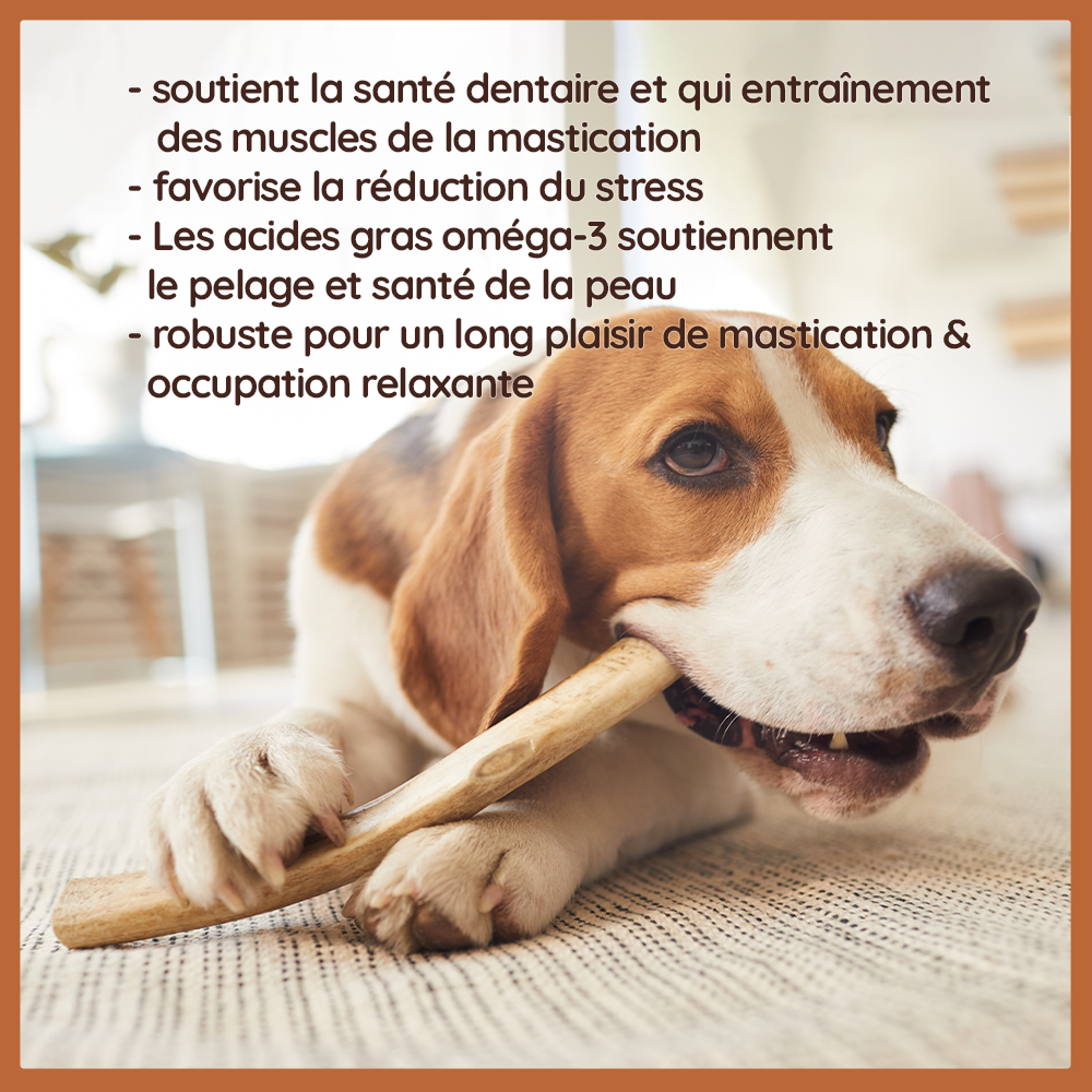 Wildfang - Pack chiot « Amour marin » - pour chiens de taille moyenne jusqu'à 25 kg - Image 8