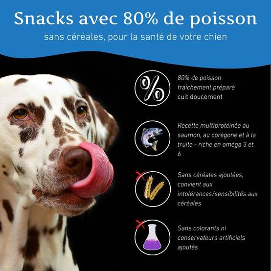 Wildfang - Pack chiot « Amour marin » - pour chiens de taille moyenne jusqu'à 25 kg - Image 6