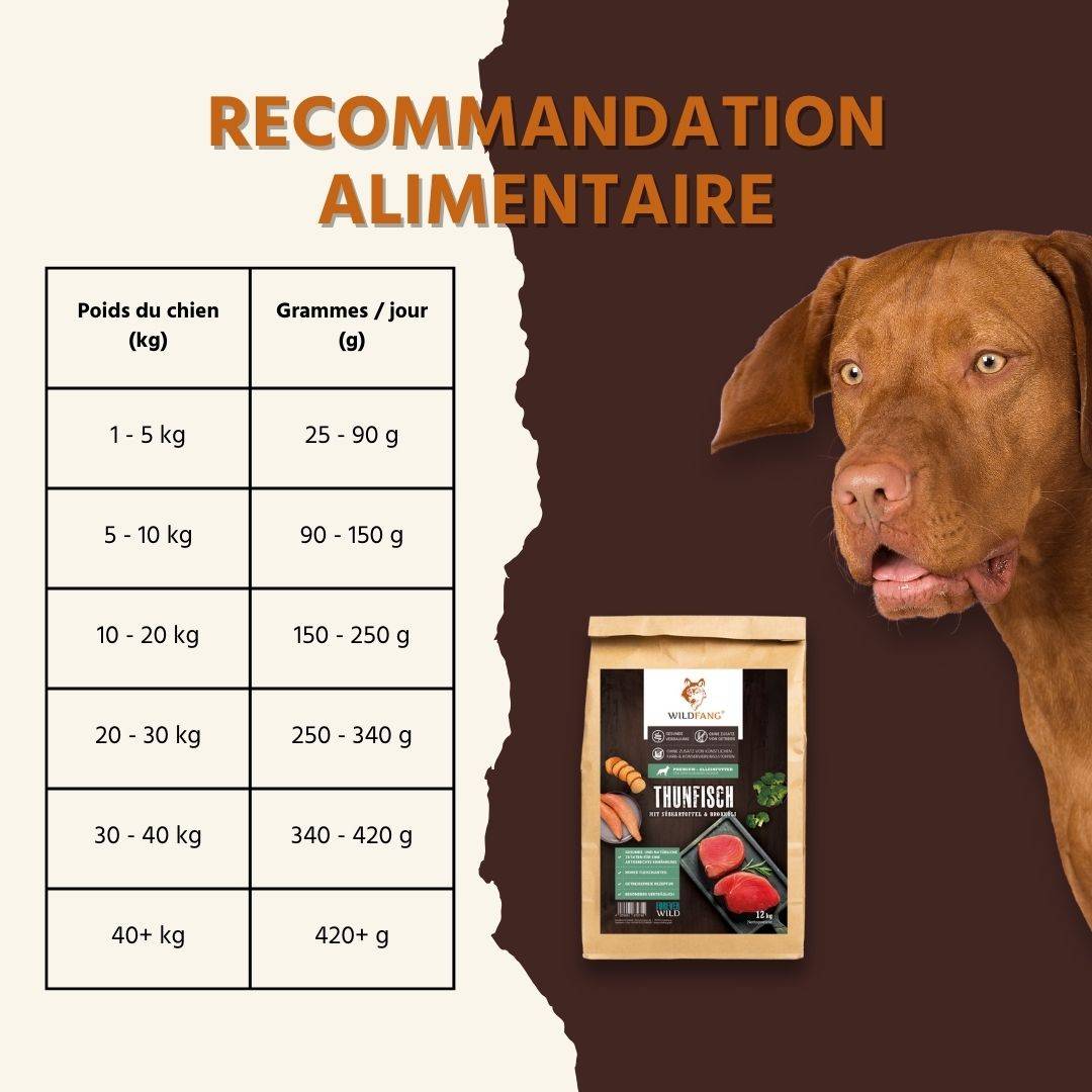 Wildfang - Pack chiot « Amour marin » - pour chiens de taille moyenne jusqu'à 25 kg - Image 4