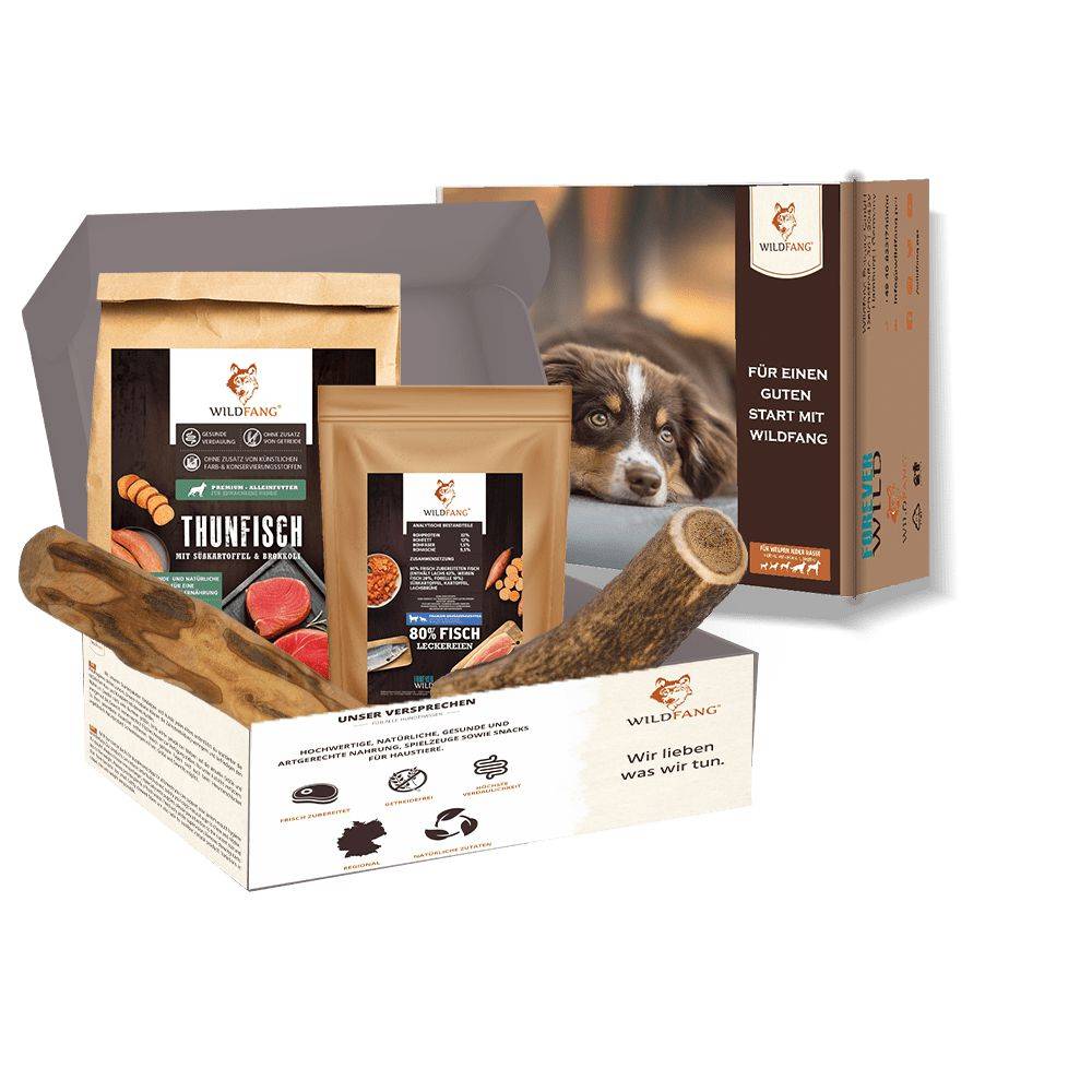 Wildfang - Pack chiot « Amour marin » - pour chiens de taille moyenne jusqu'à 25 kg - Image 1