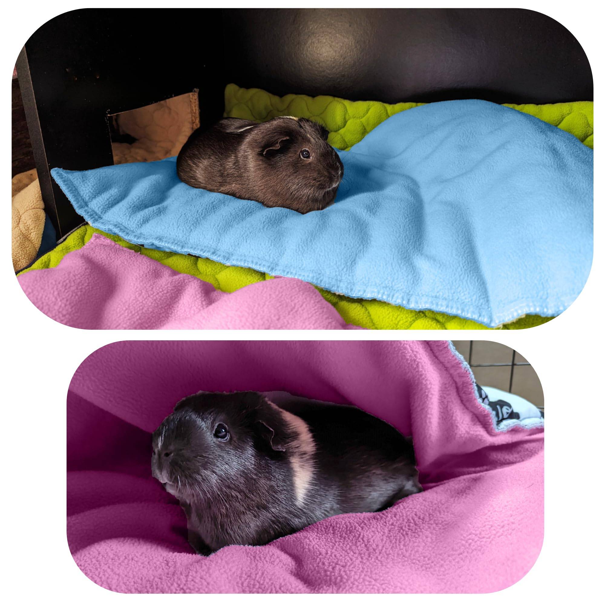 Lot de 2 - Tapis pour Cochon d'inde et Lapin en Polaire 120 x 60 cm  - Polaire Absorbant, Lavable en Machine, Economique - Neo Solvo - Image 5