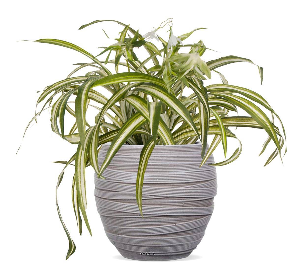 Artificielles - Chlorophytum plante artificielle en pot H 35 cm très dense - Image 2